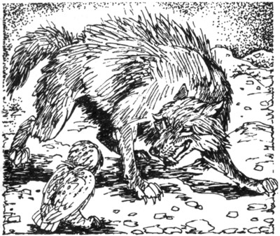 Иллюстрация к книге — Ночные стражи. Первый угленос [i_010.jpg]