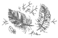 Иллюстрация к книге — Ночные стражи. Первый угленос [i_015.jpg]