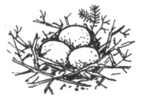 Иллюстрация к книге — Ночные стражи. Первый угленос [i_026.jpg]