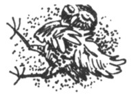 Иллюстрация к книге — Ночные стражи. Первый угленос [i_031.jpg]