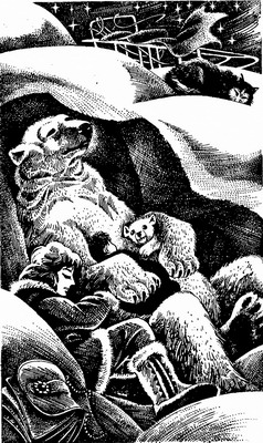 Иллюстрация к книге — Ледяная пустыня [pic07.jpg]