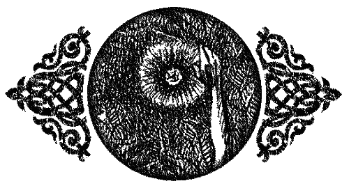 Иллюстрация к книге — Пентакль [i_035.png]