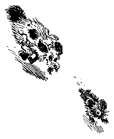 Иллюстрация к книге — День рождения Алисы [i_013.png]