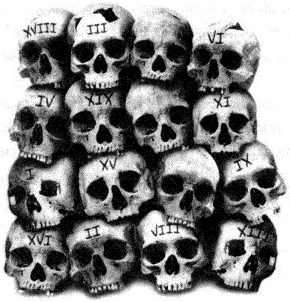 Иллюстрация к книге — Лабиринт костей [image008.jpg]