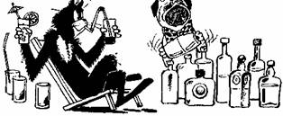 Иллюстрация к книге — Кулинарная книга лентяйки [donc41_21.jpg]