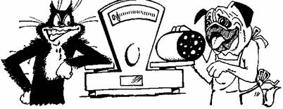 Иллюстрация к книге — Кулинарная книга лентяйки [donc41_24.jpg]