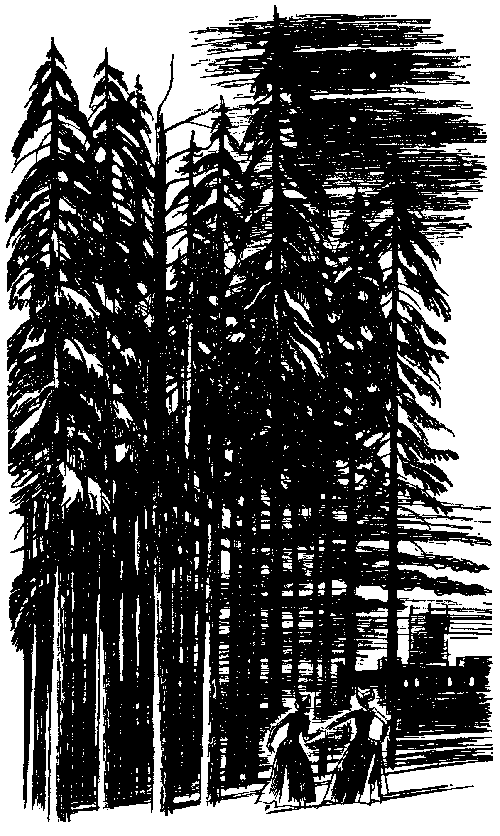 Иллюстрация к книге — Женщина в белом [i_002.png]