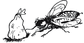 Иллюстрация к книге — Энциклопедия относительного и абсолютного знания [_056.png]