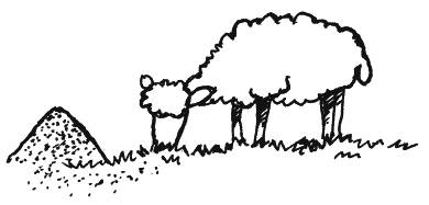 Иллюстрация к книге — Энциклопедия относительного и абсолютного знания [_068.png]