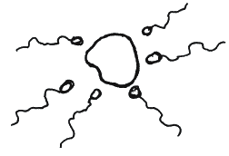 Иллюстрация к книге — Энциклопедия относительного и абсолютного знания [_091.png]