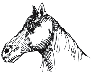 Иллюстрация к книге — Энциклопедия относительного и абсолютного знания [_127.png]