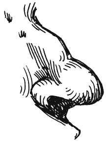 Иллюстрация к книге — Энциклопедия относительного и абсолютного знания [_172.png]