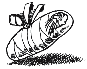 Иллюстрация к книге — Энциклопедия относительного и абсолютного знания [_176.png]