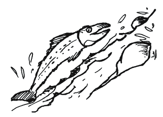 Иллюстрация к книге — Энциклопедия относительного и абсолютного знания [_210.png]