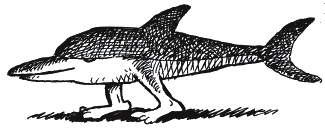 Иллюстрация к книге — Энциклопедия относительного и абсолютного знания [_238.png]