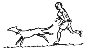 Иллюстрация к книге — Энциклопедия относительного и абсолютного знания [_251.png]