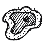 Иллюстрация к книге — Энциклопедия относительного и абсолютного знания [_273_3.png]