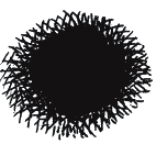 Иллюстрация к книге — Энциклопедия относительного и абсолютного знания [_291.png]