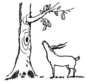 Иллюстрация к книге — Энциклопедия относительного и абсолютного знания [_306_1.png]