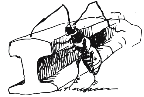 Иллюстрация к книге — Энциклопедия относительного и абсолютного знания [_351.png]