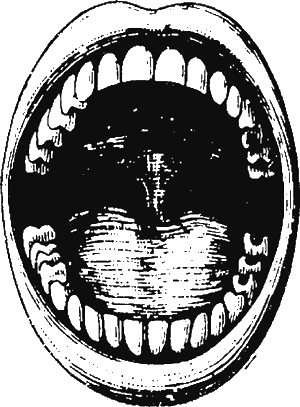 Иллюстрация к книге — Новая энциклопедия Относительного и Абсолютного знания [i_017.png]