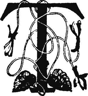 Иллюстрация к книге — Новая энциклопедия Относительного и Абсолютного знания [i_019.png]