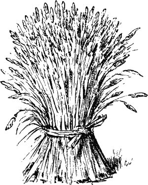 Иллюстрация к книге — Новая энциклопедия Относительного и Абсолютного знания [i_046.png]