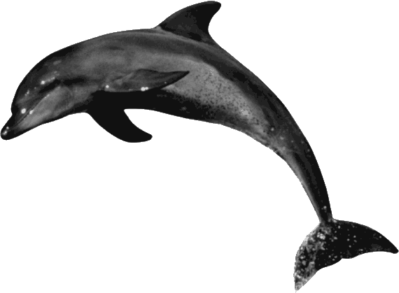 Иллюстрация к книге — Новая энциклопедия Относительного и Абсолютного знания [i_085.png]