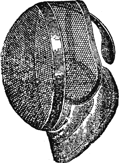 Иллюстрация к книге — Новая энциклопедия Относительного и Абсолютного знания [i_135.png]