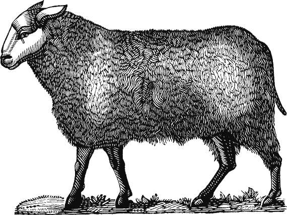 Иллюстрация к книге — Новая энциклопедия Относительного и Абсолютного знания [i_136.png]