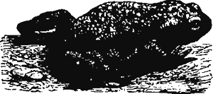 Иллюстрация к книге — Новая энциклопедия Относительного и Абсолютного знания [i_148.png]