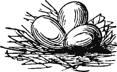 Иллюстрация к книге — Новая энциклопедия Относительного и Абсолютного знания [i_157.png]