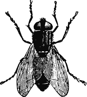 Иллюстрация к книге — Новая энциклопедия Относительного и Абсолютного знания [i_165.png]