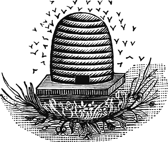 Иллюстрация к книге — Новая энциклопедия Относительного и Абсолютного знания [i_166.png]