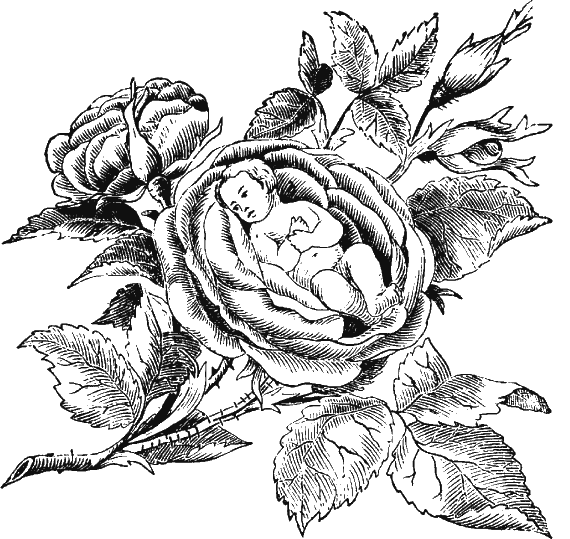 Иллюстрация к книге — Новая энциклопедия Относительного и Абсолютного знания [i_190.png]