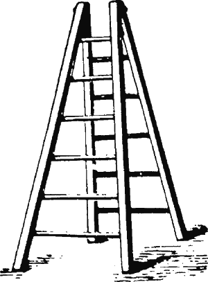 Иллюстрация к книге — Новая энциклопедия Относительного и Абсолютного знания [i_198.png]