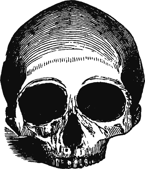 Иллюстрация к книге — Новая энциклопедия Относительного и Абсолютного знания [i_219.png]