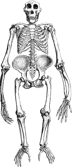 Иллюстрация к книге — Новая энциклопедия Относительного и Абсолютного знания [i_233.png]