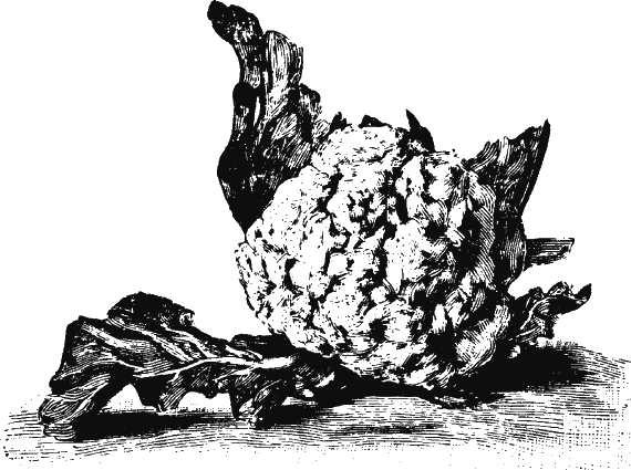 Иллюстрация к книге — Новая энциклопедия Относительного и Абсолютного знания [i_267.png]