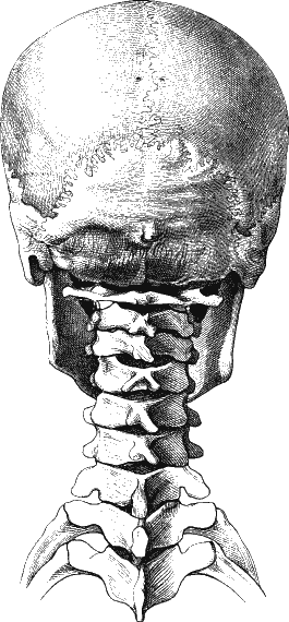 Иллюстрация к книге — Новая энциклопедия Относительного и Абсолютного знания [i_282.png]