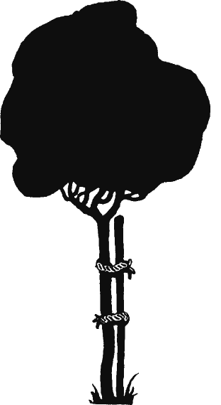 Иллюстрация к книге — Новая энциклопедия Относительного и Абсолютного знания [i_301.png]