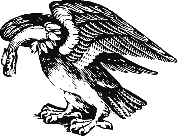 Иллюстрация к книге — Новая энциклопедия Относительного и Абсолютного знания [i_315.png]