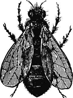 Иллюстрация к книге — Новая энциклопедия Относительного и Абсолютного знания [i_336.png]