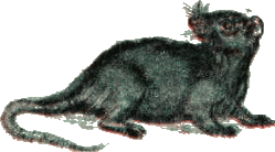 Иллюстрация к книге — Золушка [i_014.png]