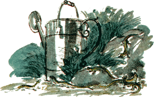 Иллюстрация к книге — Золушка [i_015.png]