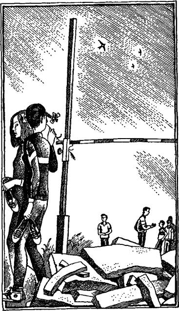 Иллюстрация к книге — Карусели над городом [i_006.jpg]