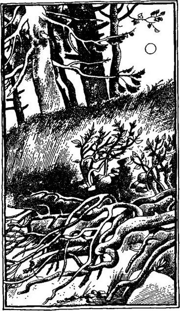 Иллюстрация к книге — А,Б,В,Г,Д… И другие [i_003.jpg]