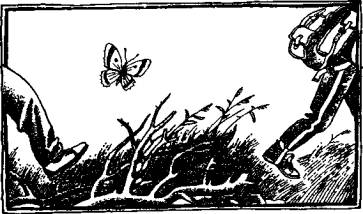 Иллюстрация к книге — А,Б,В,Г,Д… И другие [i_004.jpg]