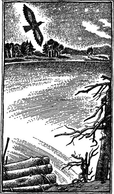 Иллюстрация к книге — А,Б,В,Г,Д… И другие [i_008.jpg]