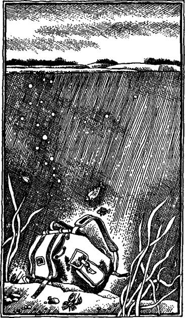 Иллюстрация к книге — А,Б,В,Г,Д… И другие [i_011.jpg]